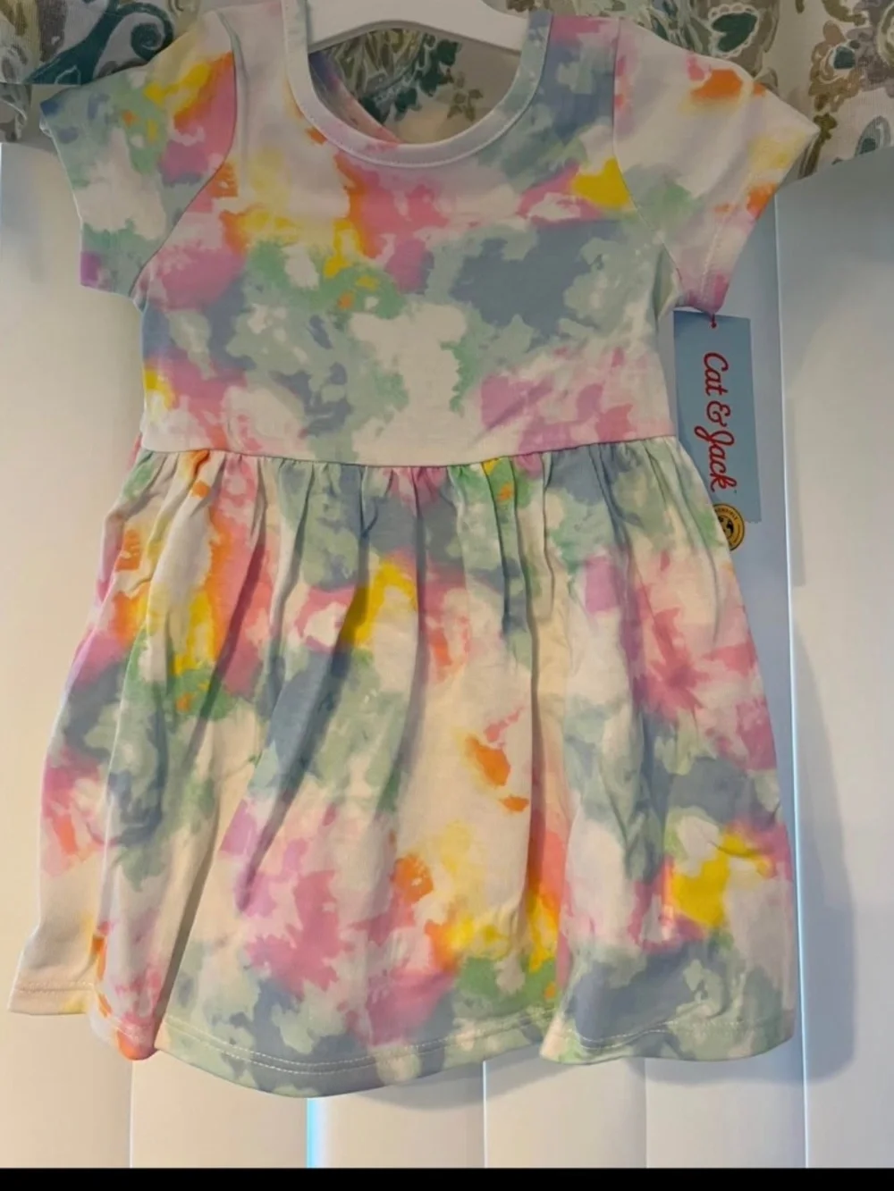 N/A dress cat